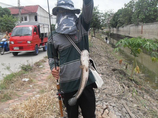 ปทุมธานี