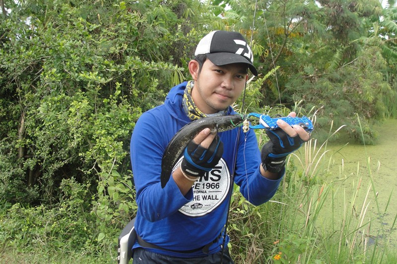 Like Action ช่อนน้อย ณ หนองขาว