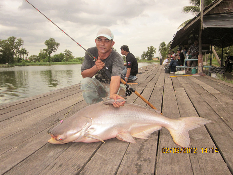 สดๆร้อน