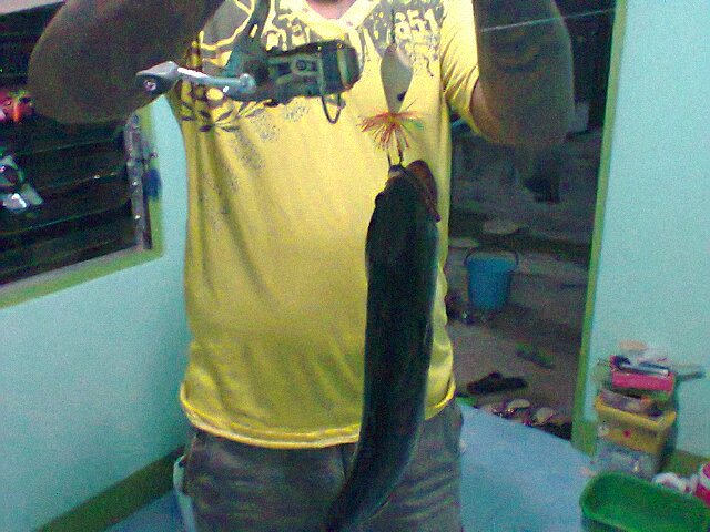 ได้มาเมือเย็นนี้คับกับกบเทอโบคับ