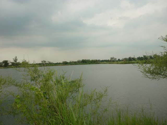 ตีจิบ  นครหลวง