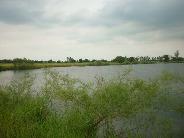 ตีจิบ  นครหลวง