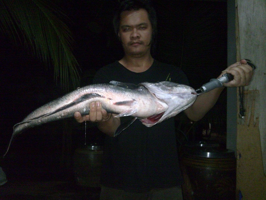 เด็กกำแพงไปเขื่อนตาก