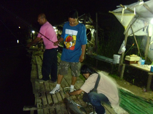 บ่อตกปลาลุงณัฐ ปลายไกด์วันเสาร์ที่ 8 กันยายน 2555