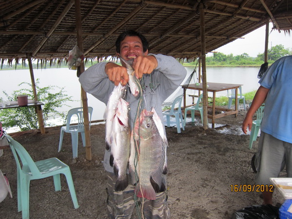 บ่อตกปลาน้องพลอย2 เปิด อาทิตย์ที่16 กันยายน 2555