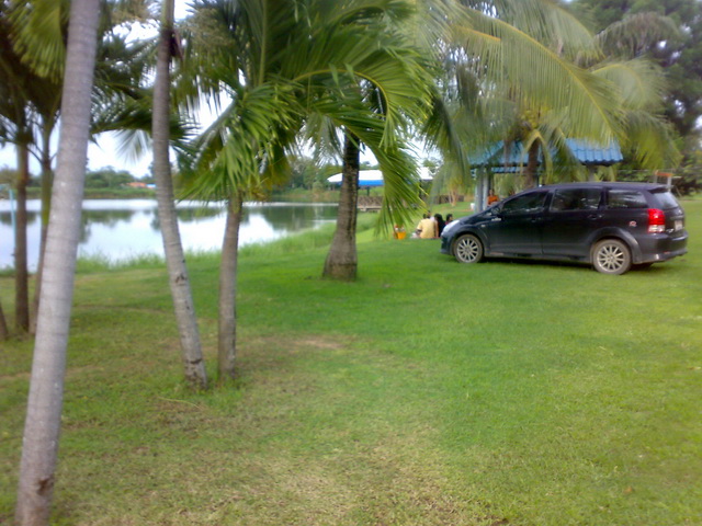 หลังฝน 