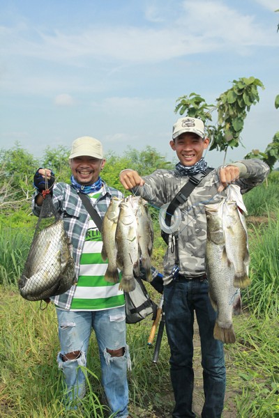 ซ้ำกระพงแปดริ้ว7ตุลายังจัดอยู่