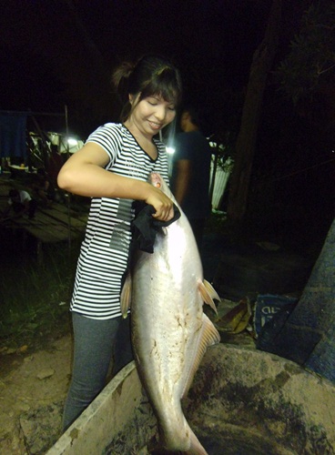บ่อตกปลาลุงณัฐ ปลายไกด์วันอาทิตย์ที่ 23 กันยายน 2555