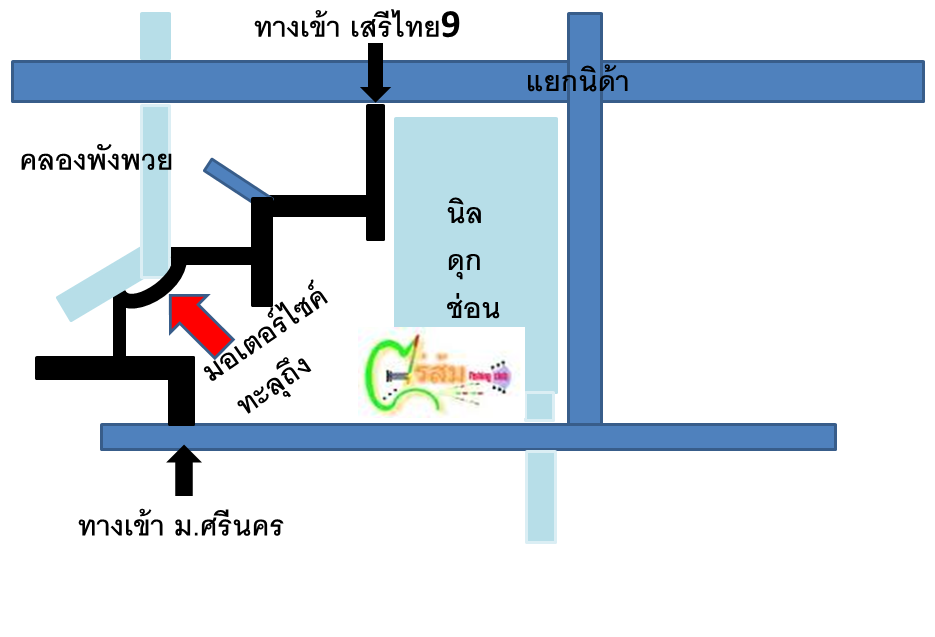 ปลานิล ปลาช่อนคลองพังพวย บางกะปิ