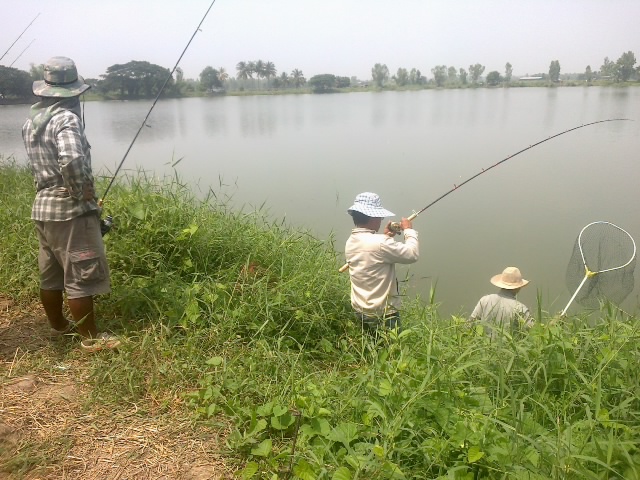 สุดท้ายที่หนองหวาย บ้านอุ่มเย็น  อ.ท่าบ่อ จ.หนองคาย