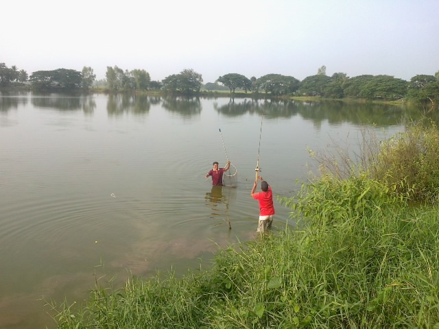 สุดท้ายที่หนองหวาย บ้านอุ่มเย็น  อ.ท่าบ่อ จ.หนองคาย