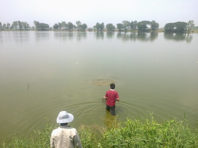 สุดท้ายที่หนองหวาย บ้านอุ่มเย็น  อ.ท่าบ่อ จ.หนองคาย