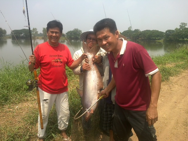 สุดท้ายที่หนองหวาย บ้านอุ่มเย็น  อ.ท่าบ่อ จ.หนองคาย