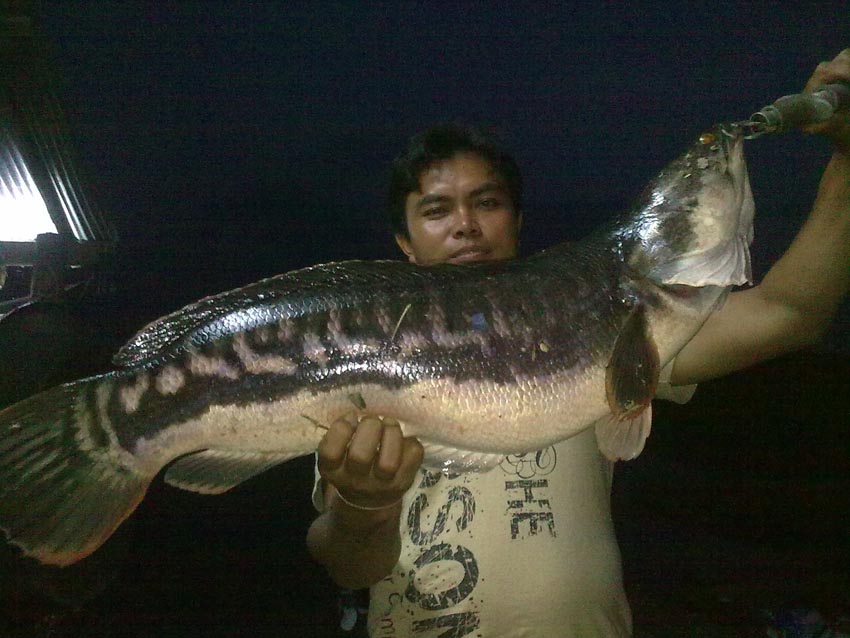 ถึงท่านประธาน   INDY  ANGLER   คร๊าบบบบ