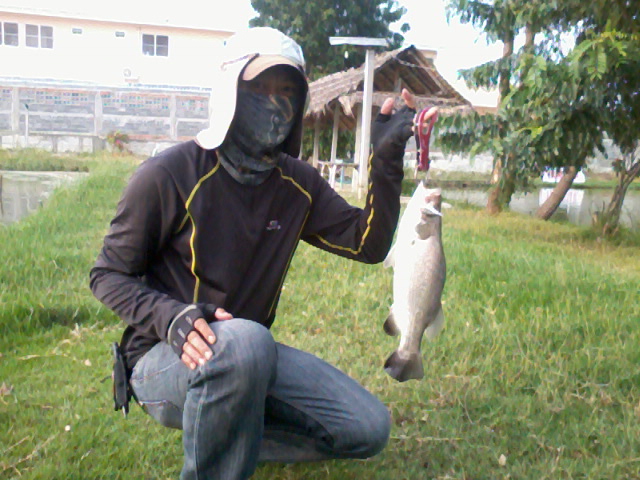 RAPALA RIPPIN ตกปลาช่อน ชะโด กระพง (ภาค2)