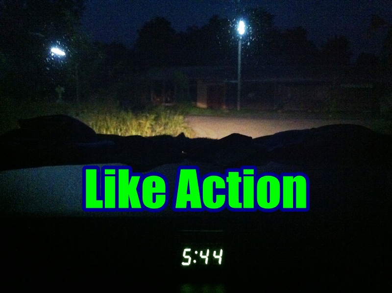  Like Action ช่อนนารายวัน 1