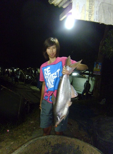 บ่อตกปลาลุงณัฐ ปลายไกด์วันพุธที่ 17 ตุลาคม 55