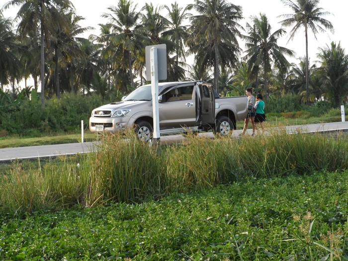 ช่อนนาพาเพลิน (มีคลิป)