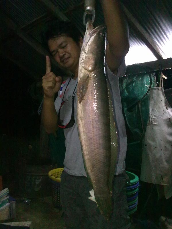 ถึงพี่น้อง Indy Angler  ท่านประธานมาวอมแว๊วววววว