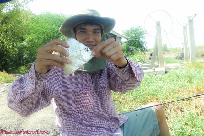 กระเบนผิดคิวที่พันท้าย
