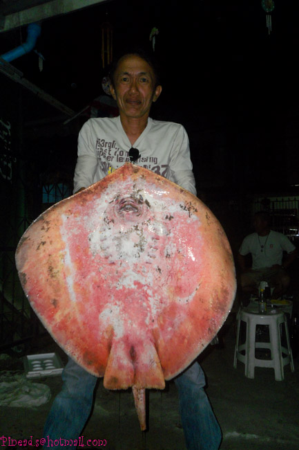 กระเบนผิดคิวที่พันท้าย