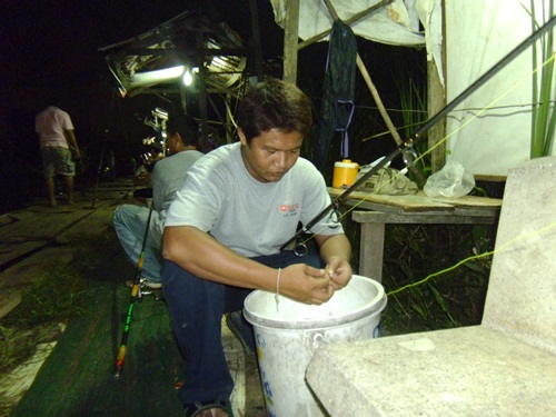 บ่อตกปลาลุงณัฐ ปลายไกด์วันพุธที่ 31 ตุลาคม 2555