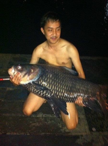 กะโห้ไปที