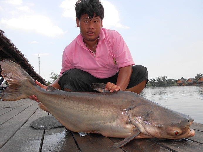 สาหริ่มบึงสำราญ