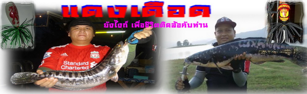 งานปลายพู่กัน+แอคชั่นขอรับ