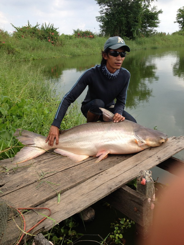 สบายๆที่บึงปลาบึก เสนายุดยา