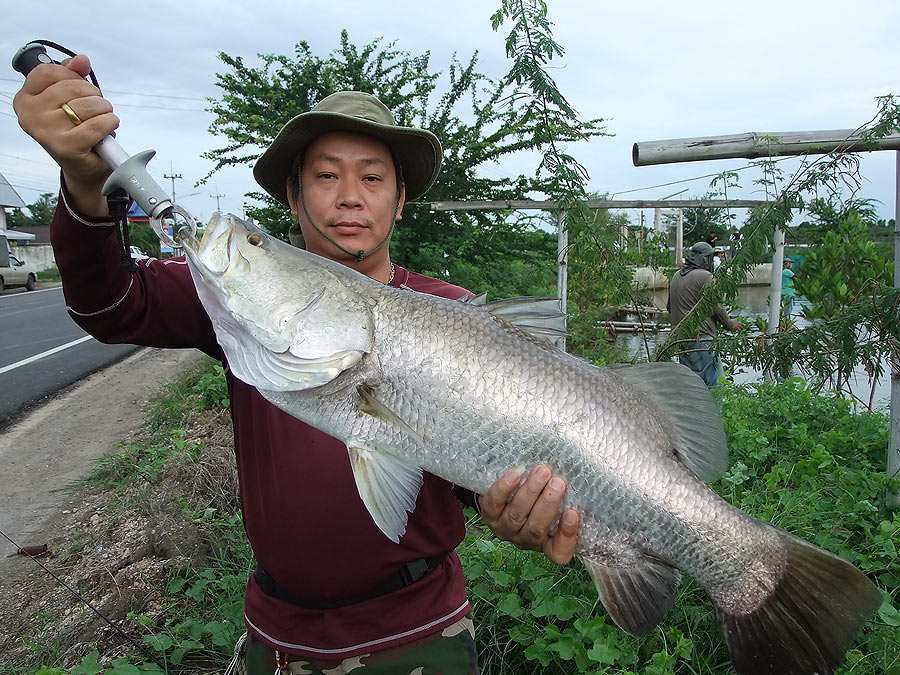 กระพงทริพปิดท้ายปี ของปลายางทีมคร๊าบ (บ่อน้าจาด)