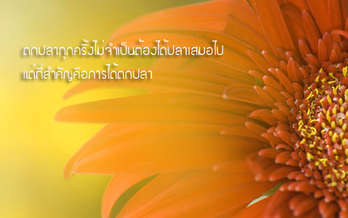 คำคมนักตกปลา ครั้งที่ 4