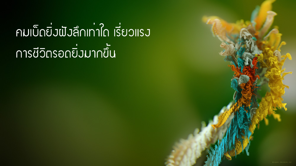 คำคมนักตกปลา ครั้งที่ 10