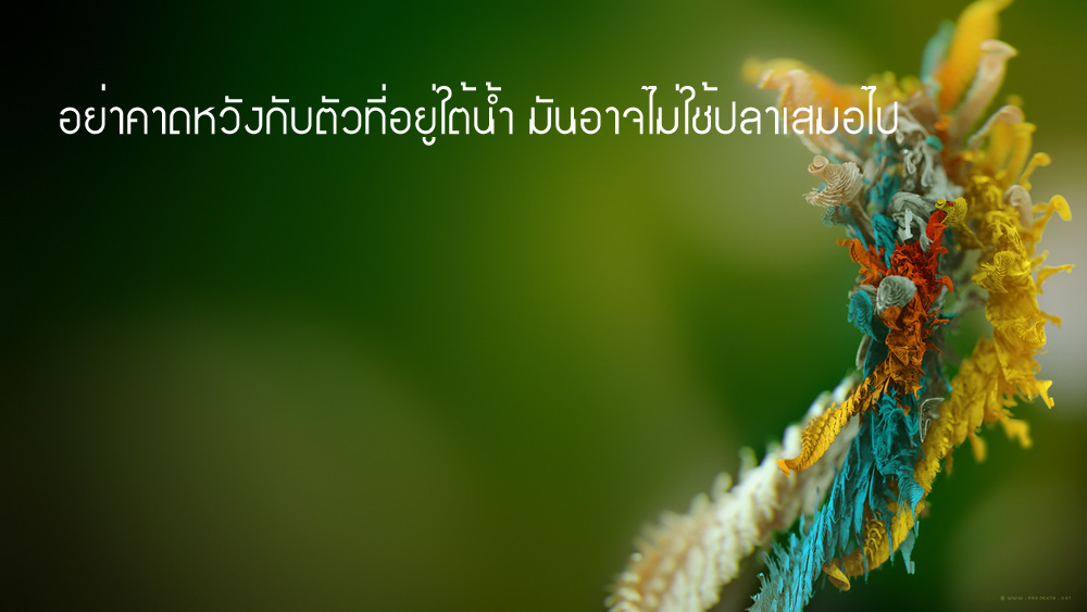 คำคมนักตกปลา ครั้งที่ 12