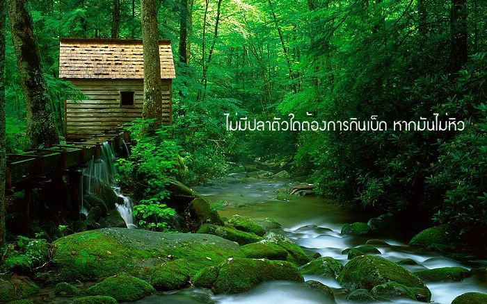 คำคมนักตกปลา ครั้งที่ 13
