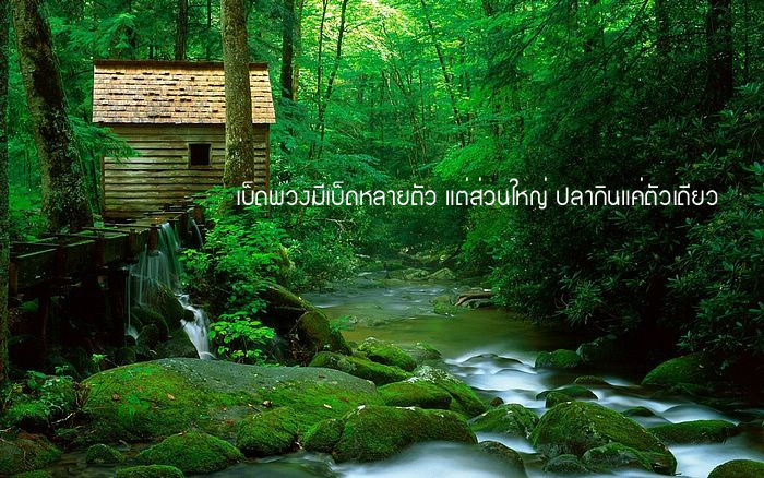 คำคมนักตกปลา ครั้งที่ 14