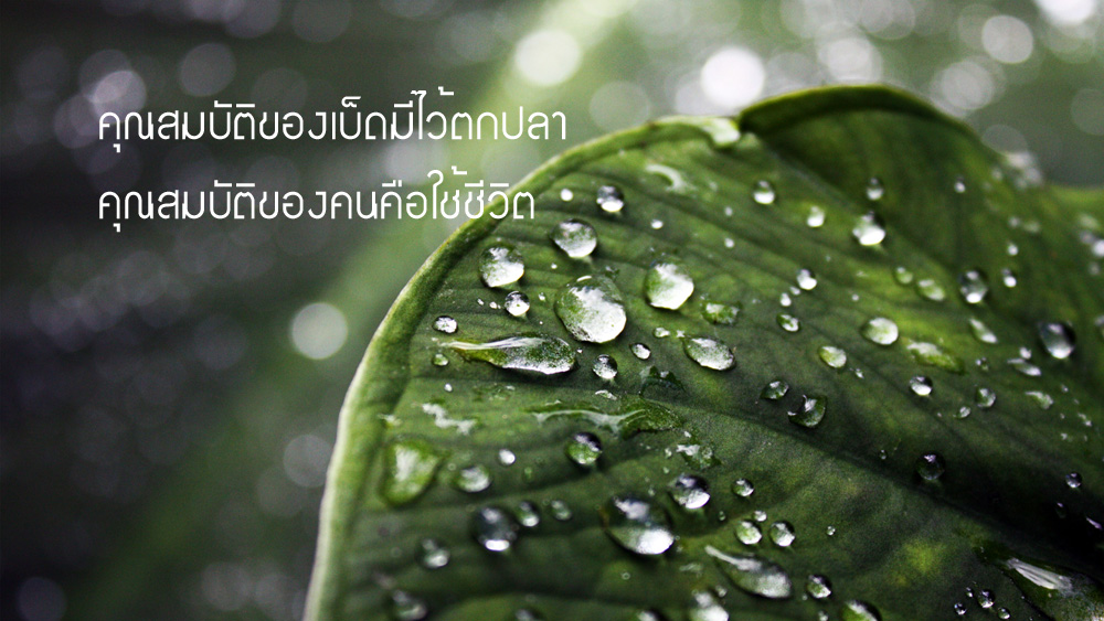 คำคมนักตกปลา ครั้งที่ 24