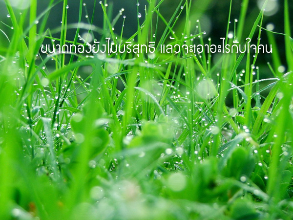 คำคมนักตกปลา ครั้งที่ 26(นอกเรื่องตกปลา)