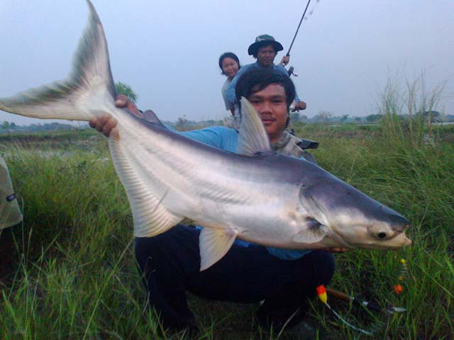 หน้าดิน ผิดคิว หมายธรรมชาติ นครหลวง ยุดยา