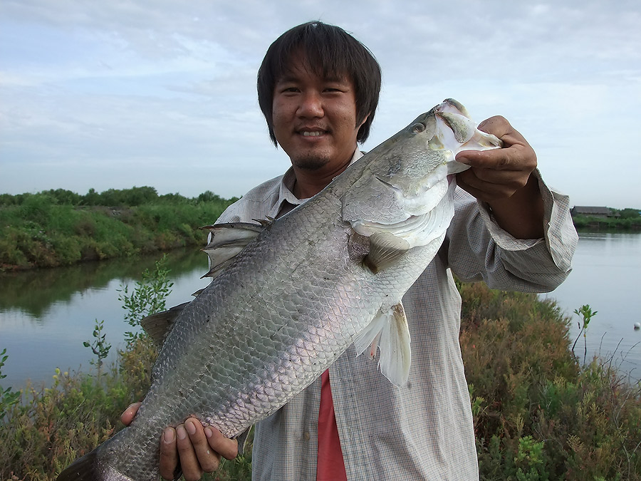 (ปิดรับแล้วครับ) กระพงทริพปิดท้ายปี ของปลายางทีมคร๊าบ (บ่อน้าจาด)