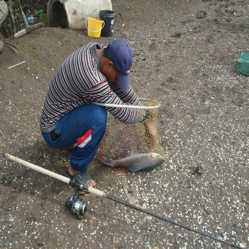 เสาร์ - อาทิตย์ที่ 8,9 - 12 - 12 ที่บ่อตกปลาหนุ่มฟิชซิ่งบางวัว(บ่อปลารวม)
