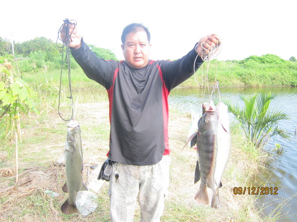 บ่อตกปลาน้องพลอย2 เปิด อาทิตย์ที่ 16 ธันวาคม 2555