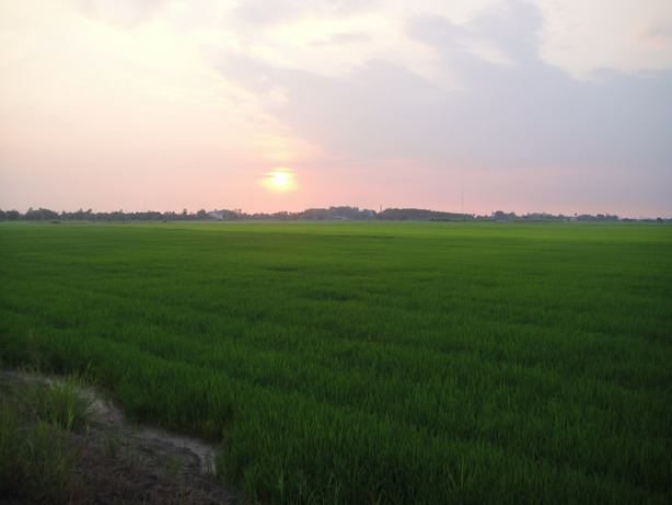 สำรวจร่องคู กับ"หนูเอาอยู่"