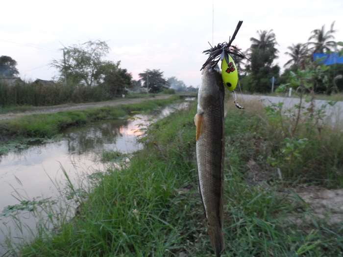 คอมใหม่มาแล้ว ออกไปตกปลาดีกว่า