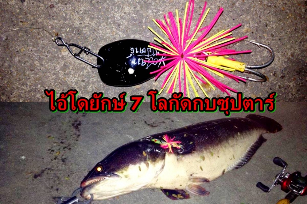 ไอ้โดยักษ์