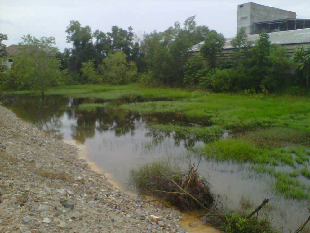 ช่อน ม.หาดใหญ่ 2