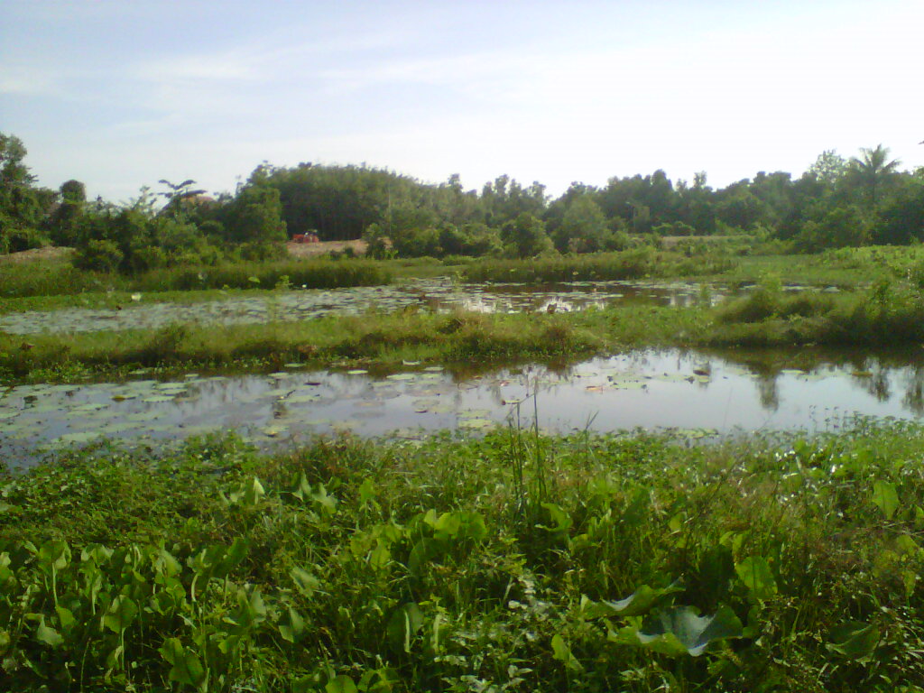 ช่อน ม.หาดใหญ่ 4 พาน้องข้างบ้านออกท่องยุทธจัก