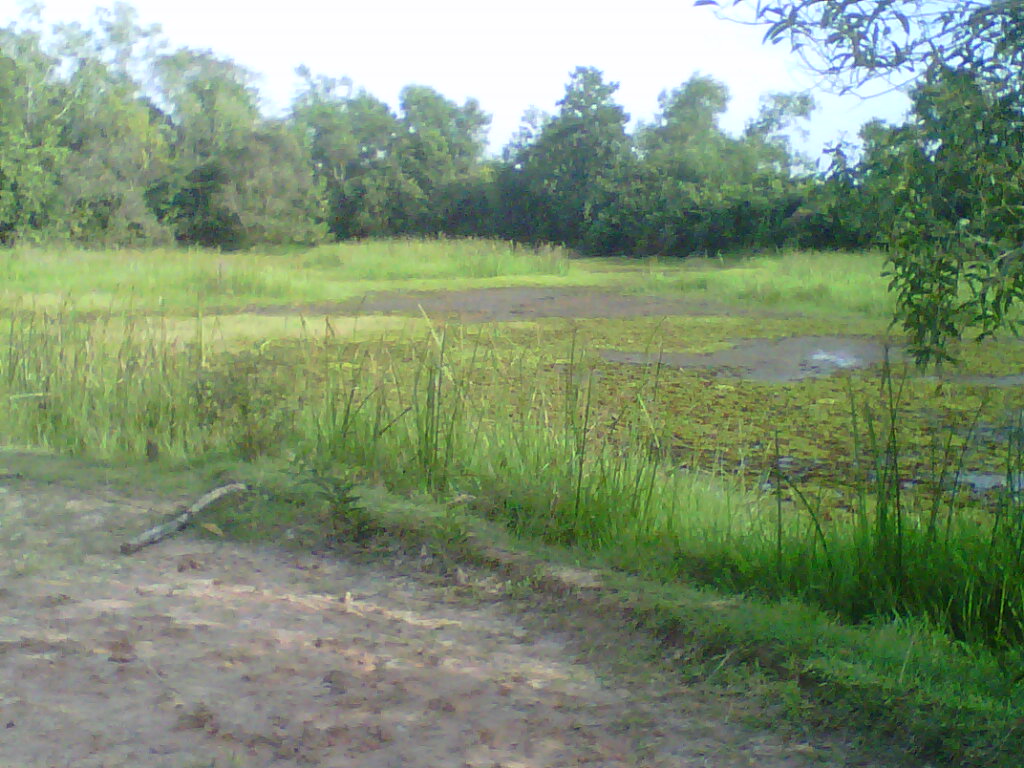 ช่อน ม.หาดใหญ่ 4 พาน้องข้างบ้านออกท่องยุทธจัก