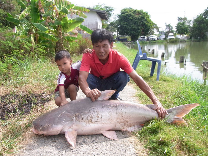 รับปีใหม่กับบ่อพัชพริ้ง......ต้อนรับแบบปวดหลังเลย