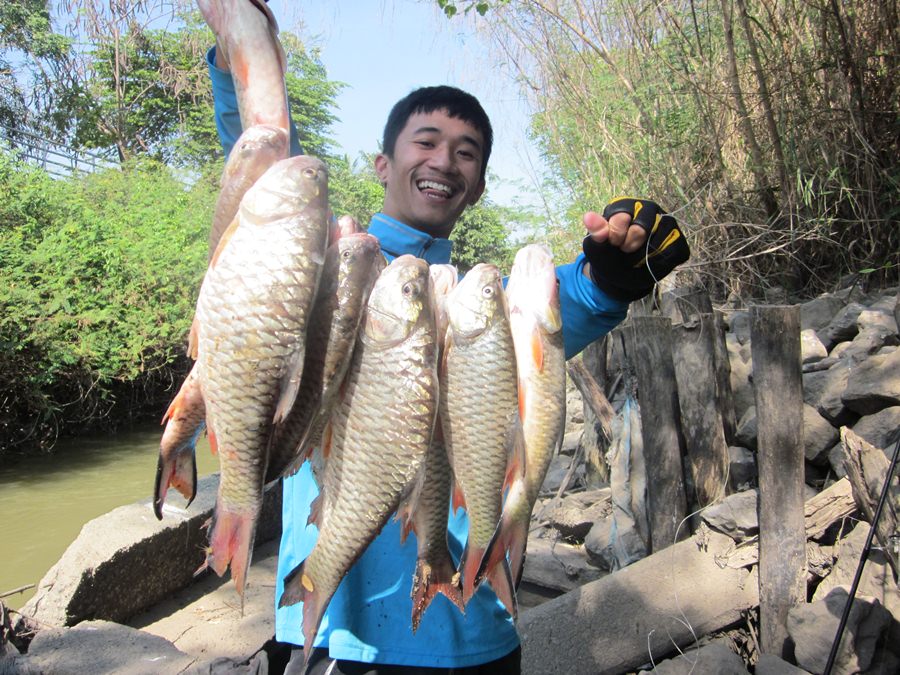 .....Fishing Easy...กระสูบใหญ่น้ำไหล...ใครๆก็...Like...มันส์ๆๆ.....